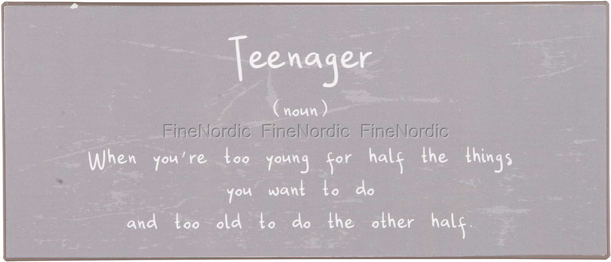 Ib Laursen Metal Sign Teenager when You're too Young for Half the